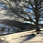 Lägenhet Cocon Au Coeur Des Vosges