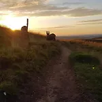 Cocon Au Coeur Des Vosges * Ban-sur-Meurthe-Clefcy