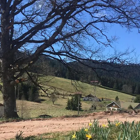 Cocon Au Coeur Des Vosges Apartment Ban-sur-Meurthe-Clefcy