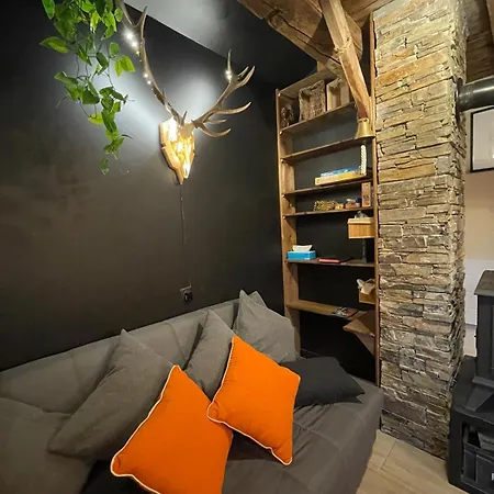 Apartment Cocon Au Coeur Des Vosges Ban-sur-Meurthe-Clefcy