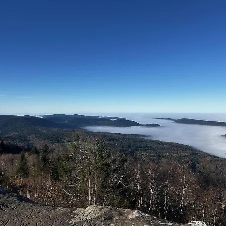 Cocon Au Coeur Des Vosges 아파트 Ban-sur-Meurthe-Clefcy