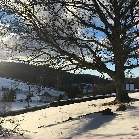 아파트 Cocon Au Coeur Des Vosges