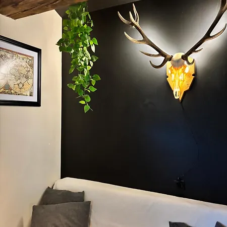 Apartmán Cocon Au Coeur Des Vosges Ban-sur-Meurthe-Clefcy