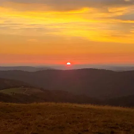 Cocon Au Coeur Des Vosges *