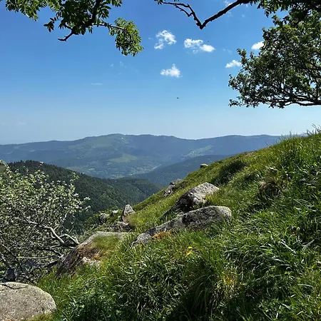 아파트 Cocon Au Coeur Des Vosges