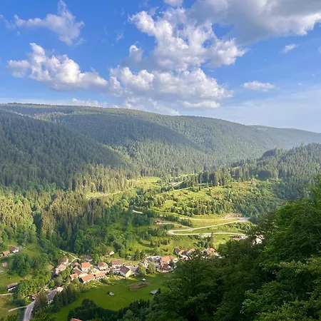 Cocon Au Coeur Des Vosges 아파트 *