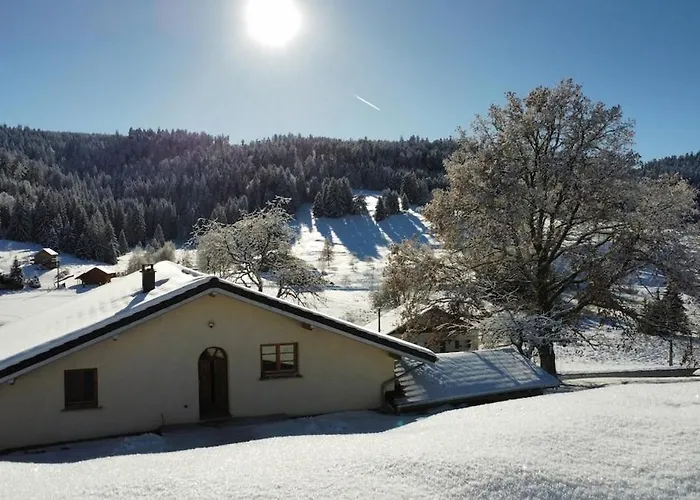 Cocon Au Coeur Des Vosges Appartement *