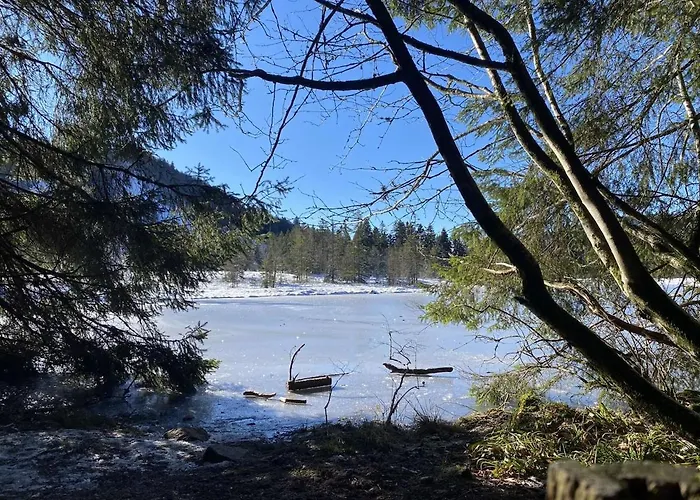 Apartmán Cocon Au Coeur Des Vosges *