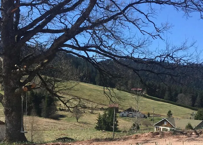 Cocon Au Coeur Des Vosges Appartement Ban-sur-Meurthe-Clefcy