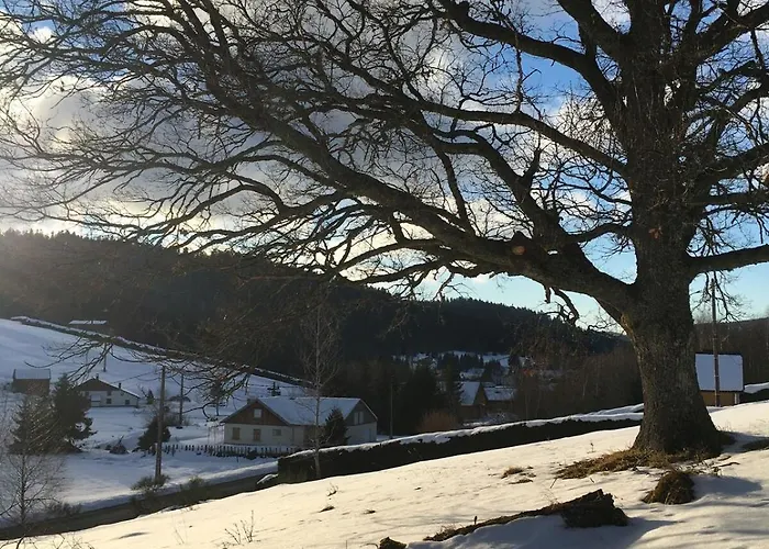 Appartement Cocon Au Coeur Des Vosges