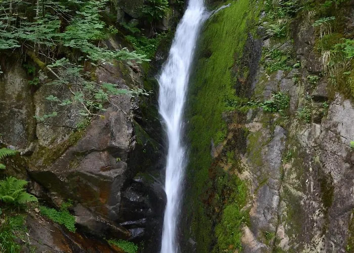 Apartmán Cocon Au Coeur Des Vosges