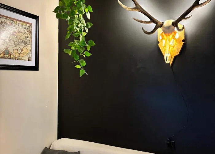 Appartement Cocon Au Coeur Des Vosges Ban-sur-Meurthe-Clefcy