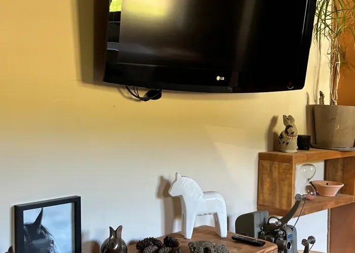 Cocon Au Coeur Des Vosges Appartement *