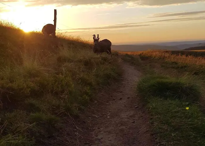 Cocon Au Coeur Des Vosges * Ban-sur-Meurthe-Clefcy